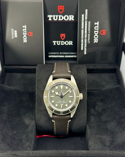 Tudor Black Bay 58 M79010SG-0001